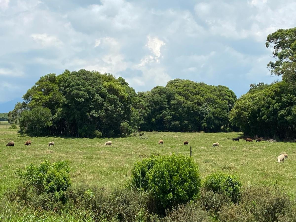 Haras Trevo De Ferro, Praia, Piscina E Campo Torres Buitenkant foto